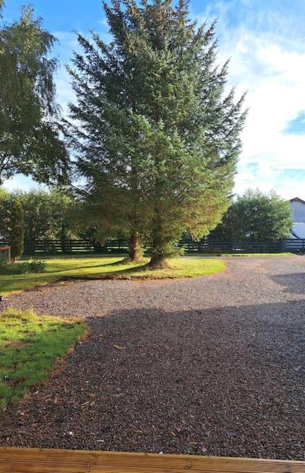 Little Slioch Cottage- A Break From City Life Avoch Exterior photo